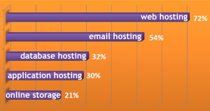 hostingcom-survey-feb-2009